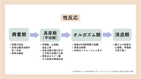 男 イク感覚|性反応とは？性行為の基本知識として知っておきたい。